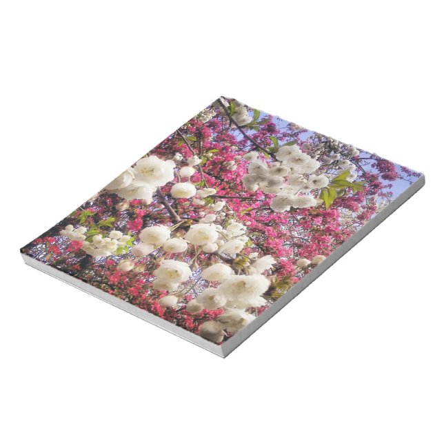 Bloc De Notas Florecimiento de la primavera blanca y rosa en Gal (Lado Izquierdo)