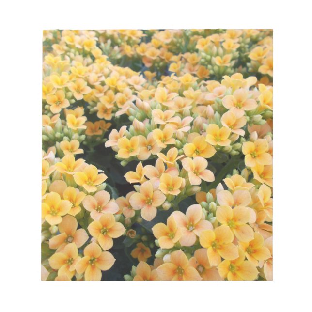 Bloc De Notas Flores Amarillas (Frente)