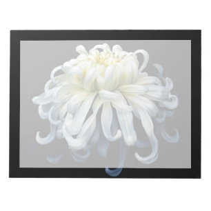 Bloc De Notas Flores Crisantemo blanco