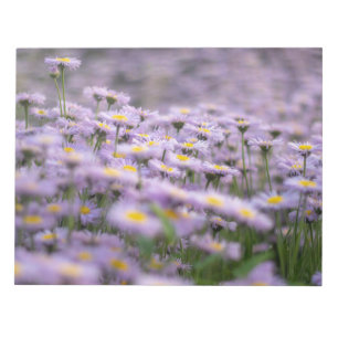 Bloc De Notas Flores de Aster Púrpura