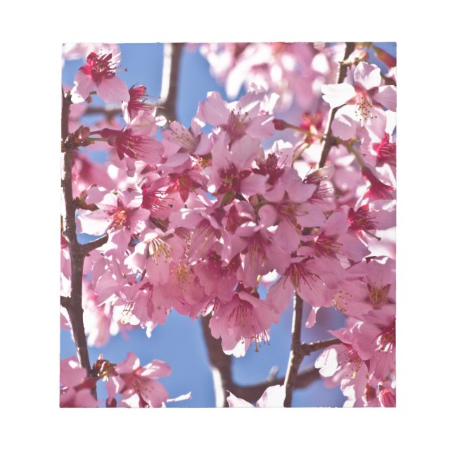 Bloc De Notas Flores de Cerezo Sakura Estrellas Rojas (Frente)