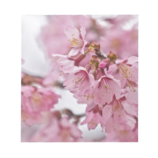 Bloc De Notas Flores de cerezo Sakura Rosa Pálido (Frente)