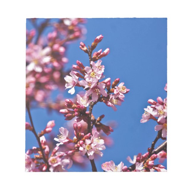 Bloc De Notas Flores de Cerezo Sakura Tocando Azul (Frente)