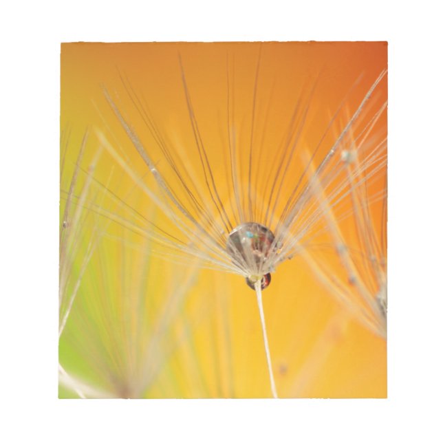 Bloc De Notas Flores de flores de flores de Dandelion destruyen  (Frente)