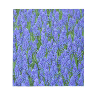 Bloc De Notas flores de moscari azul bonito
