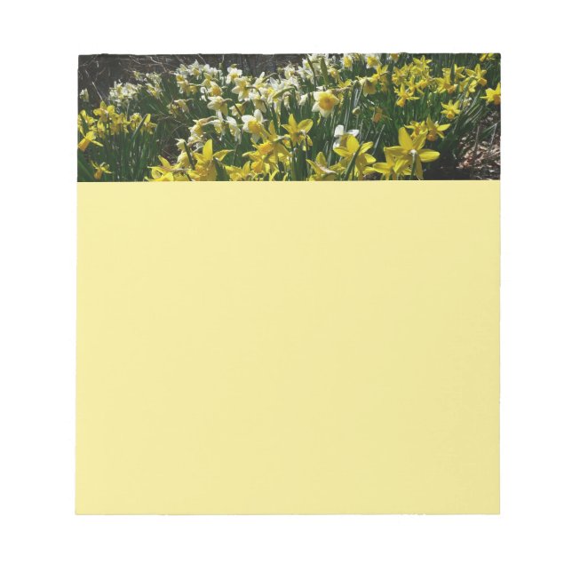 Bloc De Notas Flores de primavera de los Daffodils amarillos y b (Frente)