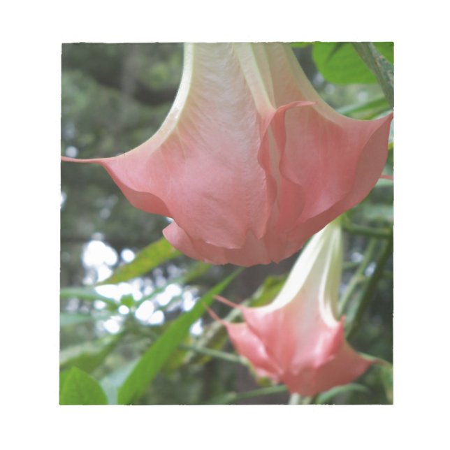 Bloc De Notas Flores de trompeta de los ángeles rosados (Frente)