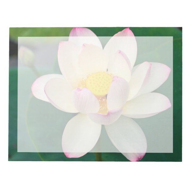 Bloc De Notas Flores | Flor de Loto de Agua (Frente)