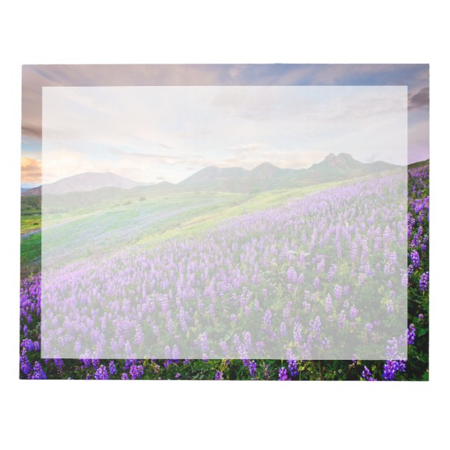 Bloc De Notas Flores | Flores silvestres de California (Frente)