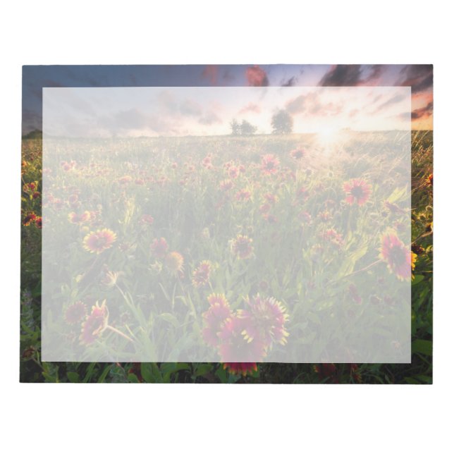 Bloc De Notas Flores | Indio Blanket Wildflower Texas (Frente)