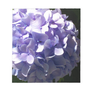 Bloc De Notas Flores moradas hidragas moradas de flores moradas
