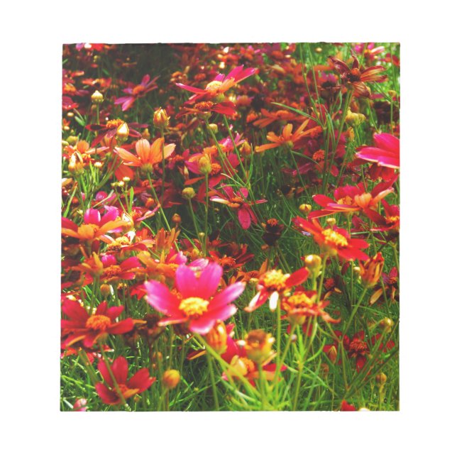 Bloc De Notas Flores negras rosadas y amarillas Daisy Wild (Frente)