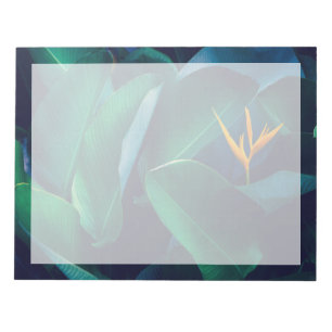 Bloc De Notas Flores Pájaro del paraíso