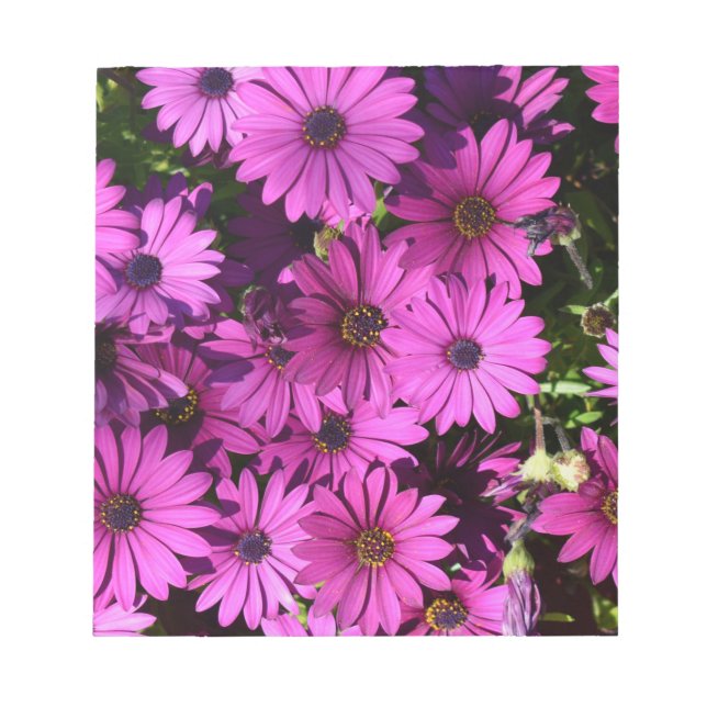 Bloc De Notas Flores púrpura de osteospermum (Frente)