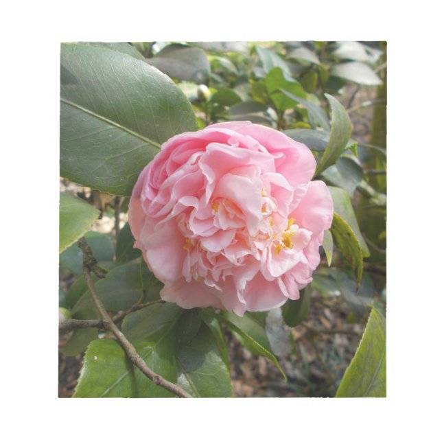 Bloc De Notas Flores rosadas (Frente)
