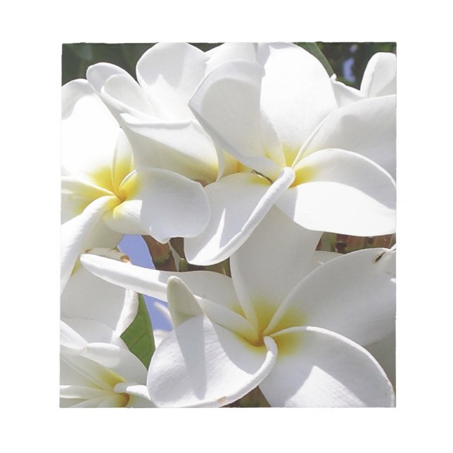 Bloc De Notas Flores tropicales de plumeria (Frente)