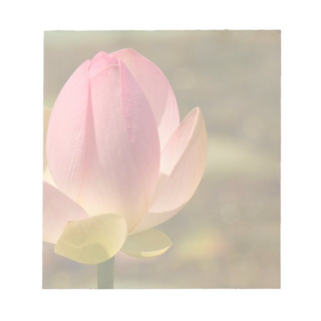 Bloc De Notas Flower Lotus Notepad (Frente)
