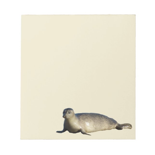 Bloc De Notas Foca común en La Jolla California (Frente)