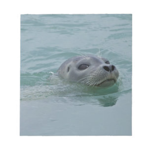 Bloc De Notas Foca común nadando en el lago glacial Jokulsarlon