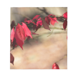 Bloc De Notas Foliage otoñal de Bush en llamas - Euonymus alatus