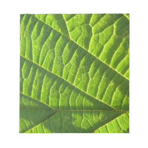Bloc De Notas Folleto verde de Guay