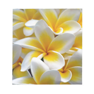 Bloc De Notas Foto de la flor del Plumeria del Frangipani