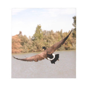 Bloc De Notas foto de pato volando sobre agua