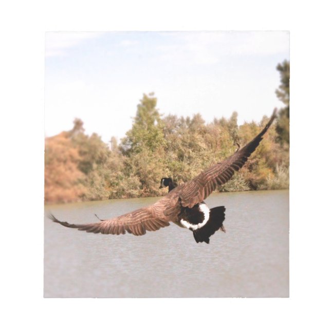 Bloc De Notas foto de pato volando sobre agua (Frente)