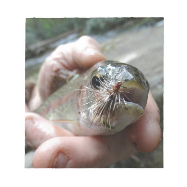 Bloc De Notas Foto de Rainbow Trout (Frente)