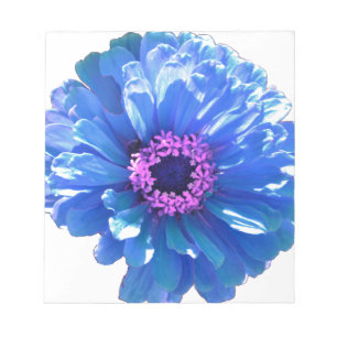 Bloc De Notas Foto floral azul margarita