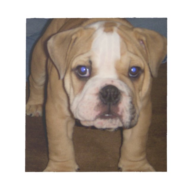 Bloc De Notas Foto Te, mplate Notepad (Frente)