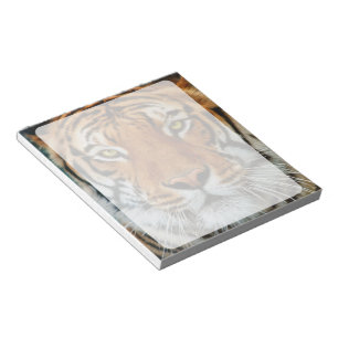 Bloc De Notas Fotografía de la cara del tigre