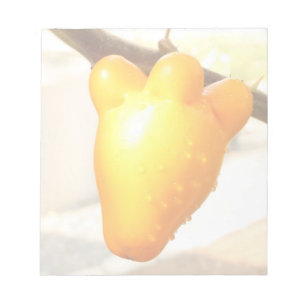 Bloc De Notas Fox Face Fruit