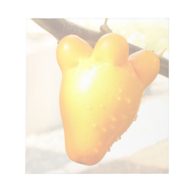 Bloc De Notas Fox Face Fruit (Frente)