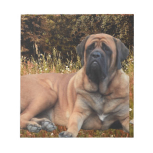 Bloc De Notas Französische Bulldoggen Mastiff Notizblock