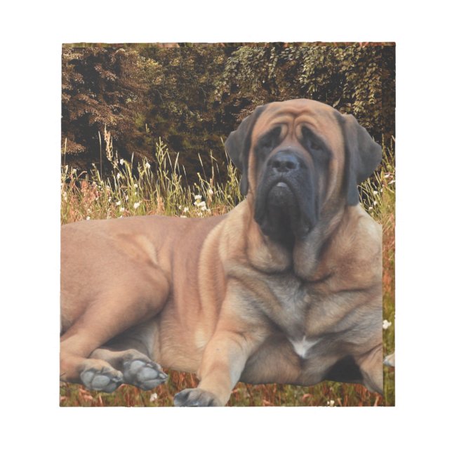 Bloc De Notas Französische Bulldoggen Mastiff Notizblock (Frente)