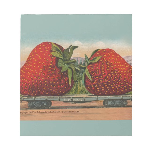 Bloc De Notas Fresas Gigante Antiguo Fruta Diversión (Frente)