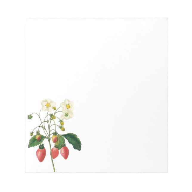 Bloc De Notas Fruta de época Berries Alimentos Fresas de Redoute (Frente)