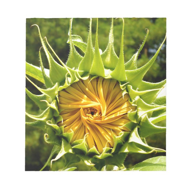 Bloc De Notas Fun amarillo flor girasol (Frente)