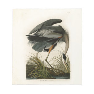 Bloc De Notas Garza azul grande de Audubon Marsh Bird