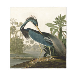 Bloc De Notas Garzas de Louisiana de Audubon Pájaros América Art