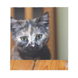 Bloc De Notas Gatito blanco y negro