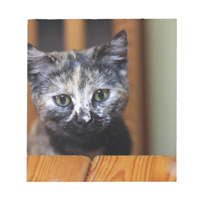 Bloc De Notas Gatito blanco y negro (Frente)