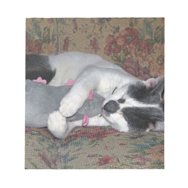 Bloc De Notas Gatito durmiente (Frente)