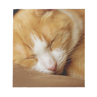 Bloc De Notas Gatito durmiente