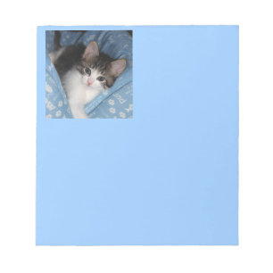 Bloc De Notas Gatito en azul