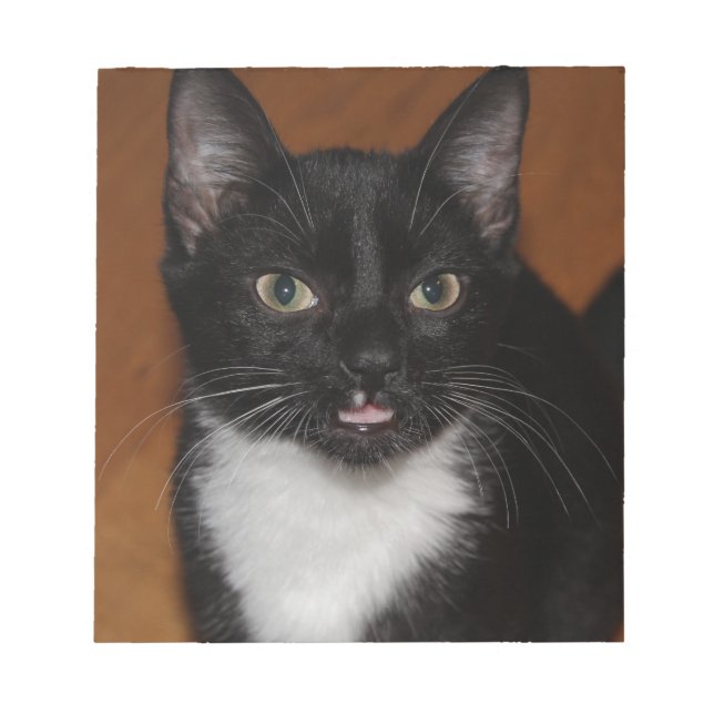 BLOC DE NOTAS GATO BLANCO Y NEGRO (Frente)