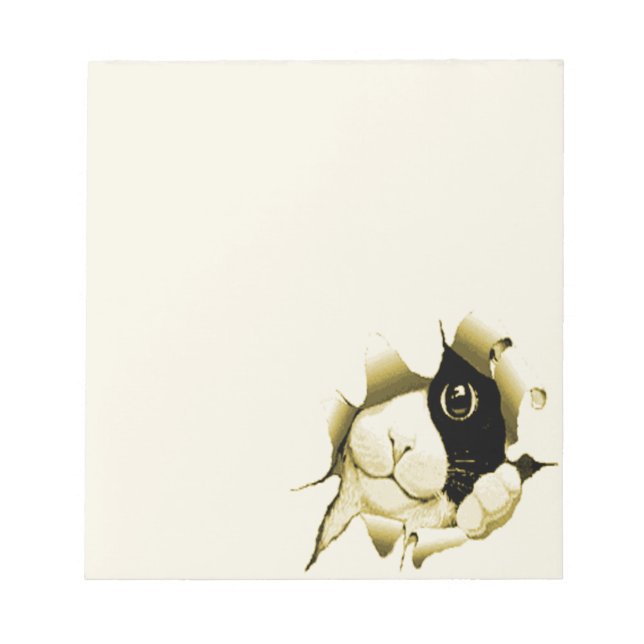 Bloc De Notas Gato curioso (Frente)