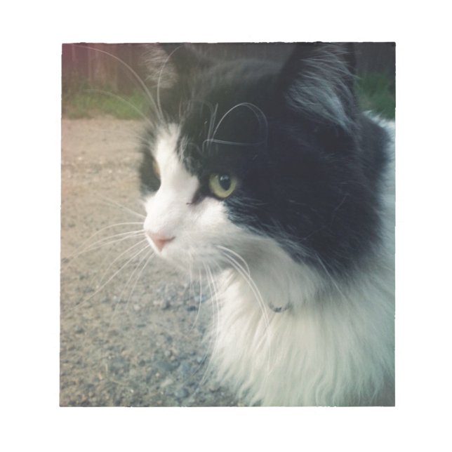 Bloc De Notas Gato de Tuxedo (Frente)