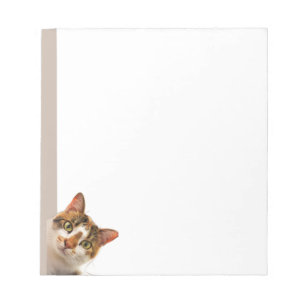 Bloc De Notas Gato divertido gatito mirándote Animal lindo diver